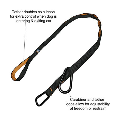 Dog Seatbelt Kurgo Direct To Seat Belt Tether