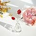 H&D HYALINE & DORA Crystal Red Rose Figurine Collectible Glass Double Roses Flowers Bouquets Ornament Decor for Home Wedding Party