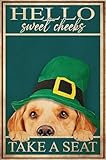 Plaque en métal vintage irlandais Golden Retriever Hello Sweet Cheeks Take A Seat Saint Patrick Day Irish Patriots Day - Décoration murale d'intérieur - 20,3 x 30,5 cm