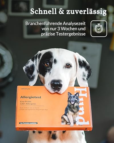vetevo Allergietest Basic Hund, Unverträglichkeitstest Hunde, bei Juckreiz-Symptomen, Pfoten-Beißen & Niesen, 260+ Futtermittel Unverträglichkeiten Testen