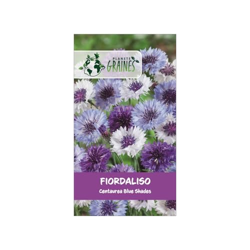 50 graines de centaurée des champs 'blue shades' (bleuet) - fleur sauvage aux nuances de bleu profond - annuelle mellifère pour bouquets