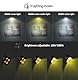 MIOBLUE 3Pack Bild Licht batteriebetriebene Malerei Lichter, Drahtlose magnetische Anzeige Kunst Licht mit Fernbedienungen, Dimmbare Timer Portrait Licht für Kunstrahmen Artworking