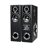 クマザキエイム ダイナミックサウンドスピーカー DS-12 アンプ内蔵スピーカー 最大出力80W 大迫力サウンド 正規品 保証付