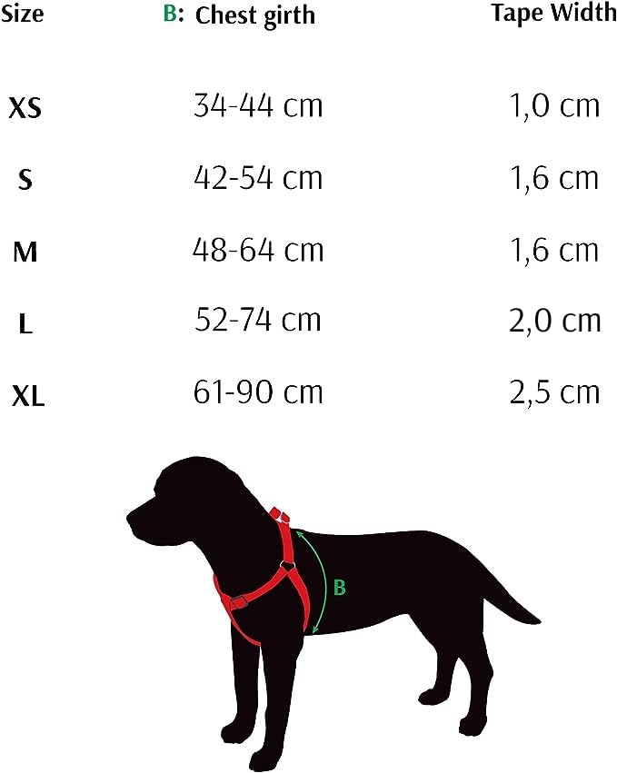 Dingo Dog Harness with Plastic Buckle Easy Wearing, Handmade of Material Mint, Silver Contrast 94669, 40 - Image 3