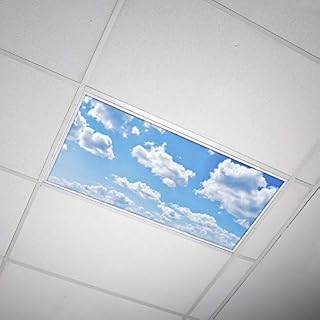 Octo Lights - Fluorescent Light Covers - 2x4 Flexible Ceiling Light Diffuser Panels