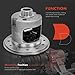 A-Premium Rear 31 Spline 12-Bolt Limited-Slip Locker Compatible with Dodge Ram 1500, Charger Van 2500, Charger, Durango, Challenger, Dakota, B100, B150, B200, B250, D300, D350 & Chrysler Imperial