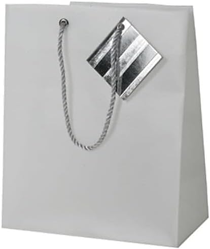 JAM Paper Opaque Shopping Bags - Small - 7 1/2 x 9 x 4 - Clear - Bulk 100 Bags/P