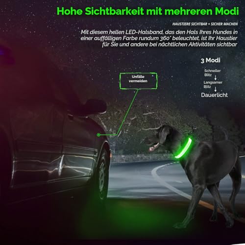 KOSKILL Leuchthalsband Hund Wiederaufladbare USB LED Hundehalsband Wasserdichtes Leuchtendes Hunde Halsband Einstellbare Super Helle für Kleine Mittlere Große Hunde (Grün, M)