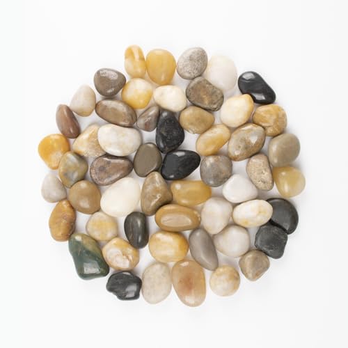 LOOIOOJ 10lbs 0.5-1 Inch River Rocks