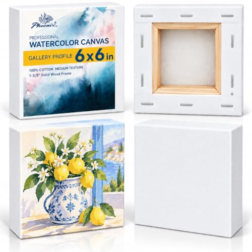 PHOENIX 6x6 Inch Gallery Depth Watercolor Canvas 4 Pack