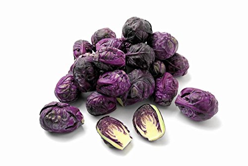 KIRA SEEDS - Purple Brussels Sprouts - Heirloom Vegetable - GMO Free