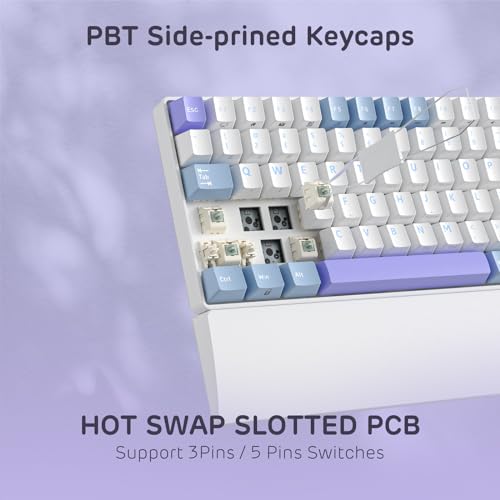 Image of RK ROYAL KLUDGE RK96 RGB Limited Ed, 90% 96 Keys Wireless 3-Mode BT5.0 /2.4G /USB-C Hot Swappable Mechanical Keyboard w /Wrist Rest, Volume Control, Software, Massive Battery, RK Pale Green Switch