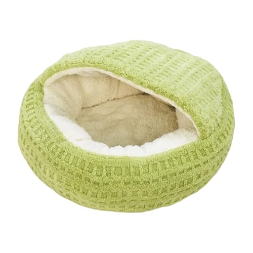 B Baosity Lxbh A L̑  Sn̗ǂی H ~ qLVF^[ ybgnEX nlY~ nX^[ qL ETMp, S