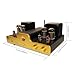 Dared I30BT Vacuum Tube Integrated Amplifier, Bluetooth, USB DAC Input, LINE Input, Headphone Output, Power Output 30Wx2