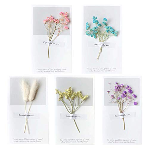 Amosfun 5 peças Vintage Flores Secas Cartões de felicitações DIY Cartão de convite feito à mão Cartã