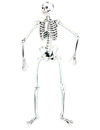 Skeleton 55''Glow Cardboard
