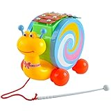 caracol instrumento musical garifuna Atractivo diseño y seguridad y materiales respetuosos con el medio ambiente.