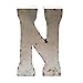 Rustic Arrow Letter N for Decor, 14-Inch, Silver
