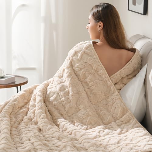 Drewin Weighted Blanket Queen Size 17lbs, Classy Soft Jacquard Sherpa