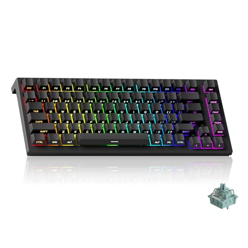 Akko Clavier Gaming Filaire à déclenchement Rapide TAC75, commutateur magnétique à Effet Hall, Disposition américaine 75%, fréquence de sondage de 8 kHz,PBT (Noir Transparent, commutateur AstroAim)
