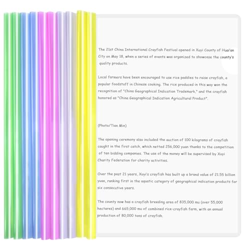 Zimoer 10 Piezas A4 Deslizante Encuadernador, Cubierta de Encuadernación de Informes con Barras Deslizantes Carpeta de Archivos Transparente Carpetas Dossier de Presentación para Oficina Escuela