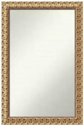 Amanti Art Gold Wall & Bathroom Mirror for Over Sink, 30x20 Small Mirror