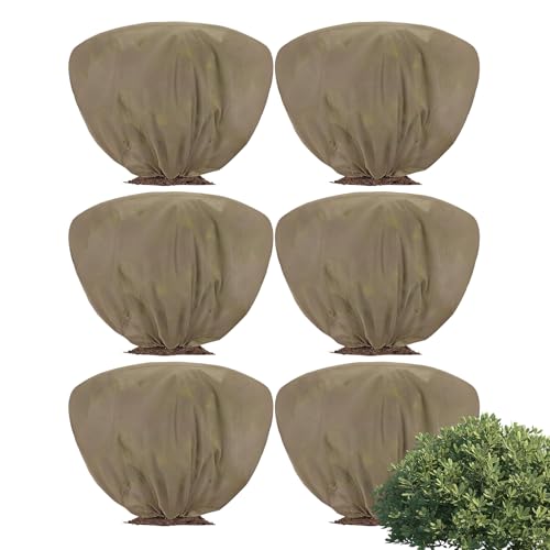 A悯Jo[ 100x60cm 6 ~Ah~ۉWPbg Вt ̓~AuPbg O̔AA؁AȖؗp