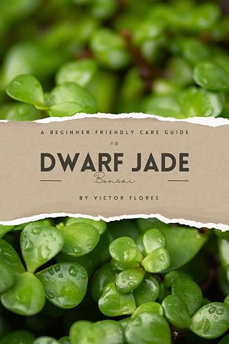 A Beginner Friendly Care Guide to Dwarf Jade Bonsai