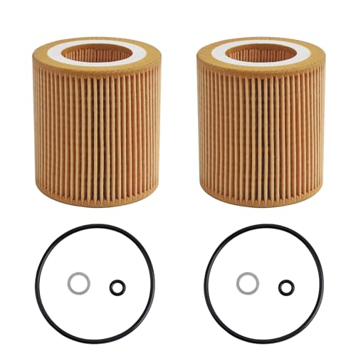 HU816x Oil Filter Fits for BMW 1 3 5 6 7 X1 X3 X4 X5 X6 Z4 E60 E71 E82 E83 E89 E90 E92 Replaces# 11427953129 11427541827 (2Pcs)