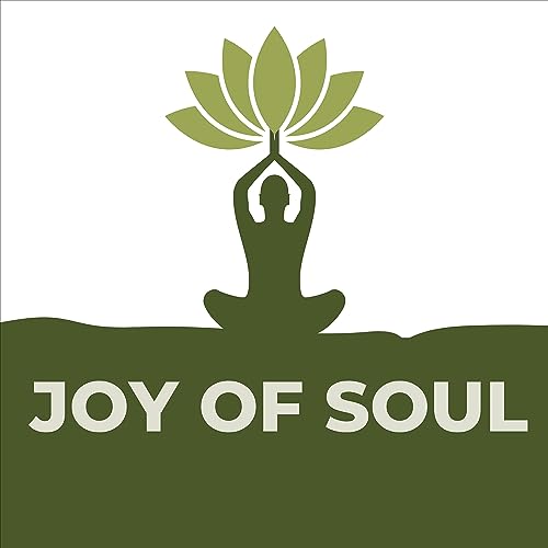 Joy of Soul cover art