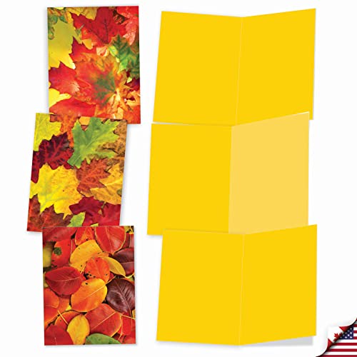 Image of The Best Card Company - 10 Beautiful Note Cards Blank (4 x 5.12 Inch) - Fall and Autumn Season, Boxed Notecard Assortment - Leaf a Message M2009