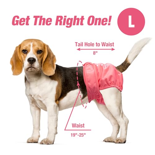 Image of Pet Soft Washable Female Diapers (3 Pack) Female Dog Diapers, Comfort Reusable Doggy Diapers for Girl Dog in Period Heat (Sprightly, L)