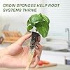 Kratky Method Hydroponic Planter Kit, 8 Hydroponic Planter Plus 24 Growing Sponges for Herbs, Hydroponic Mini Buckets for Windowsill Herb Garden, Hydroponic Growing System for Vegetables (Black) #3