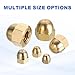 MECCANIXITY Acorn Hex Cap Nuts, M6x1mm Brass Dome Head Hex Decorative Cap Nuts for Screws Bolts Industrial Mechanical Electrical Equipment Repair Hardware(Gold Tone, Pack of 6)