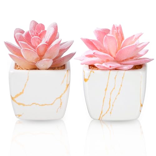 Artificial Succulent in 2PCS White Ceramic Pot, Small Fake Succul...