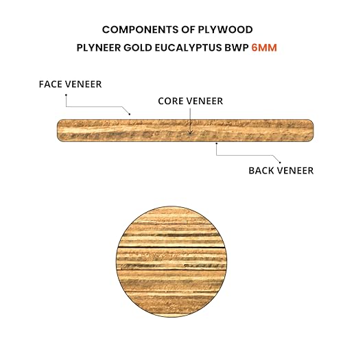 Image of Plyneer Calibrated Gold Eucalyptus BWP-Grade Plywood Premium Gurjan Wood for Kitchens & Bathrooms (6mm)-8ft x 4ft