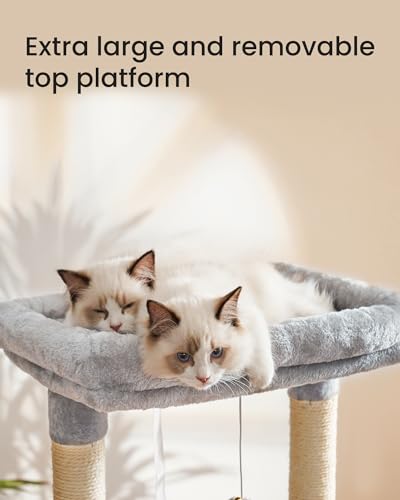 Árvore para gatos Hey-brother MPJ006-MW, torre, casa e condomínio confortável, com cama grande acolc