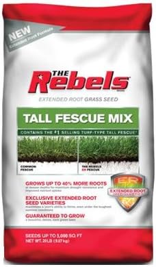 Pennington 100086592 The Rebels Tall Fescue Grass Seed, 20-Pound