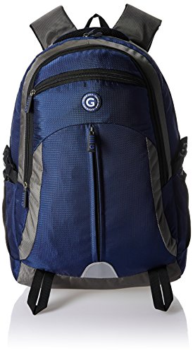Giordano 24 Litre Blue & Grey Laptop Backpack - (GD6807PC-LTBK) (B074QPC56J) Amazon Price History, Amazon Price Tracker
