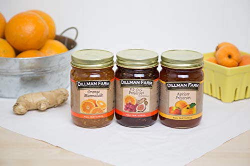 Dillman Farm Refreshing Preserves Variety Pack (6 Pack)| Apricot Preserves, Cherry Preserves, Peach Preserves, Pineapple Preserves, Orange Marmalade, Frog Preserves| - All Natural, Gluten-Free, Non-Gmo, Vegan, Kosher, Eco-Friendly, Preservative Free, Corn Syrup Free - Made In Usa, 16 Oz 6 Pack #TOP2