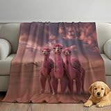 Atención al Cliente de Confianza: El tamaño de esta manta es 220 x 270 cm. Respaldamos la calidad de nuestros productos. Si necesitas ayuda, solo tienes que ponerte en contacto con nuestro equipo: te responderemos en menos de 27 horas.