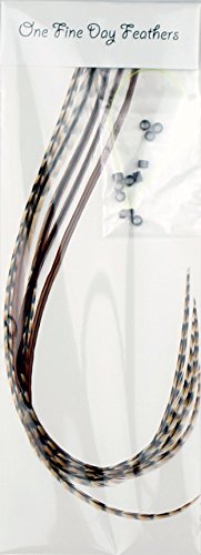 De la pluma para el pelo de extensión de , 5 unidades...
