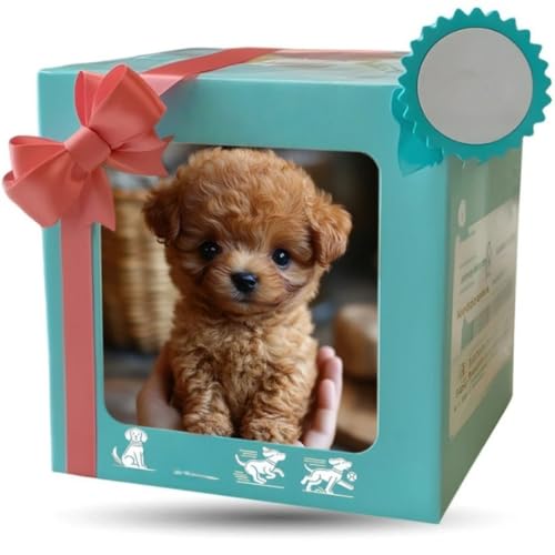 Kiwet�q���^�y�b�g���{�b�g 2025�N�V�^�mAI�E���A���ȓ����n�{���������茢 �E�H�[�L���O�E�o�[�L���O�E�����ۖc��݋@�\���� �����/�q�ǂ����������A�C�e�� �h�Ў���T�|�[�g �ߋ�p�A�y�b�g�A�q�������A�N�z�̏����Ȓj�̎q�̏��̎q�̒a���� (���F)