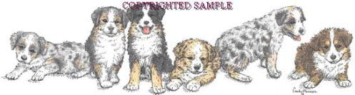 Australian Shepherd - Puppies in a Row by Cindy Farmer