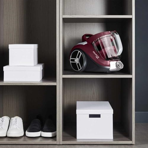 Rowenta RO4B63EA Sacs pour aspirateurs, 800 W, 2,5 l, 75 décibels, Plastique, Multicolore