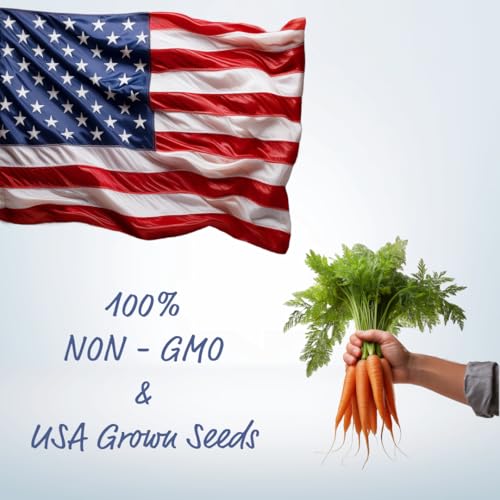 Set of 40 Assorted Vegetable Packets with Beginners Growing Guide & Mylar Storage Bag | Non-GMO | Heirloom