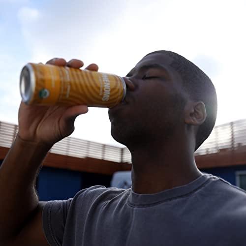 All Phenoms Motivate Energy & Focus Boost - Ginger & L-Theanine, Prebiotic & Probiotic Sparkling Water - Organic Fruit, Adaptogens, Vitamins, Minerals, Mushrooms & Nootropics, Low Calorie, Low Sugar #TOP7