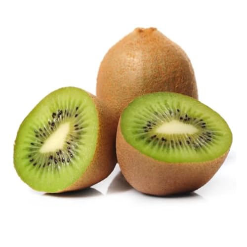 Muda Frutífera de Kiwi Matua Enxertada (Macho)