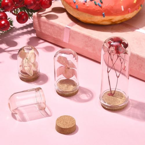 Mini cúpulas de vidrio de alta transparencia y base de madera noble para micro exhibición 4