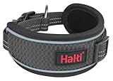 Halti Anatomy - Collar de Perro de diseño Ancho para aliviar la presión, Suave y Acolchado de Neopreno, Reflectante y Ajustable, Correa y arnés a Juego, Adecuado para Perros Grandes (Talla L, Gris)
